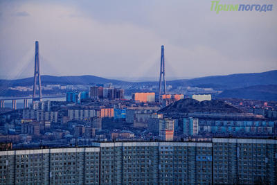 Чем дышал Владивосток с 21 по 31 января?