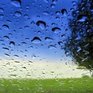 В Приморье снова ожидаются дожди