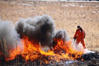 За выходные в Приморье ликвидировали 14 лесных пожаров