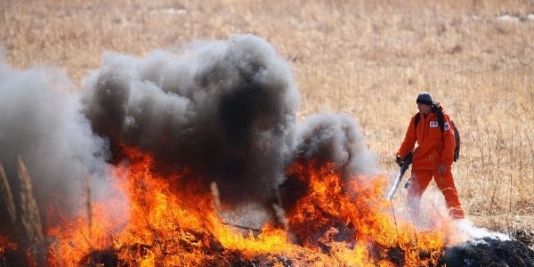 За выходные в Приморье ликвидировали 14 лесных пожаров