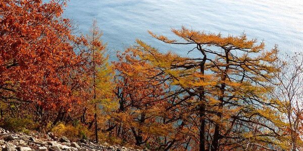 До +13°C прогреется воздух в Приморье во вторник