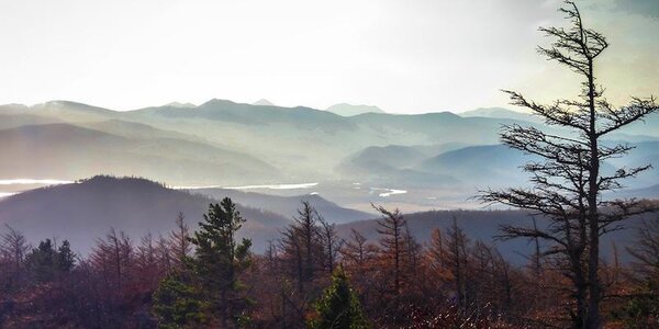 Переменчивая прохладная погода ожидается в Приморье на этой неделе