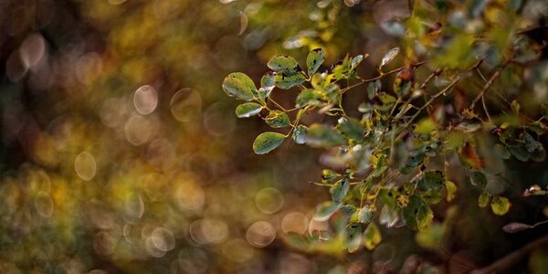 До +17°C прогреется воздух в Приморье в среду