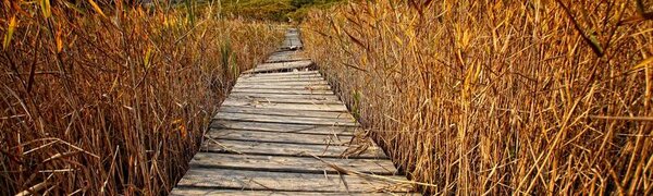 Октябрь продолжит радовать Приморье тёплой погодой