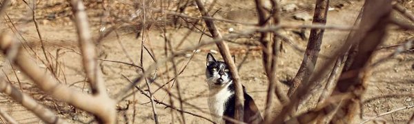 Переменчивая весенняя погода ждёт в Приморье в выходные