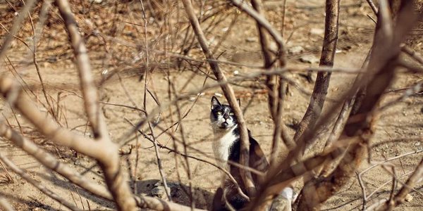 Переменчивая весенняя погода ждёт в Приморье в выходные