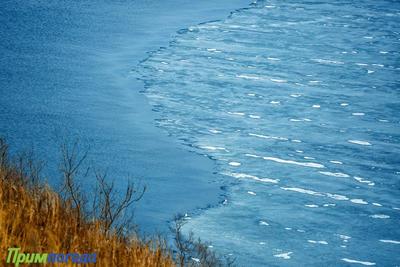 Залив Петра Великого в ближайшие дни полностью очистится ото льда 