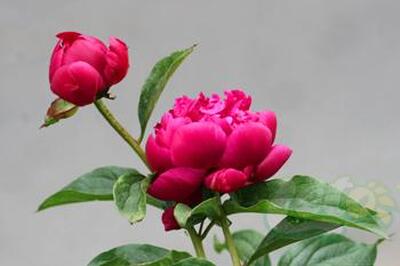 До +20°С прогреется воздух во Владивостоке во вторник