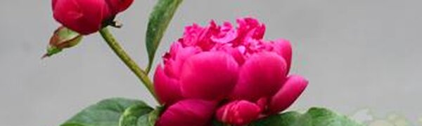 До +20°С прогреется воздух во Владивостоке во вторник