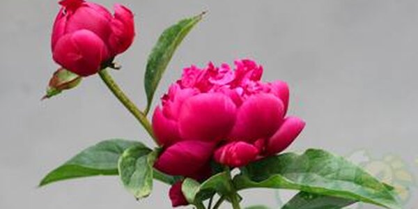 До +20°С прогреется воздух во Владивостоке во вторник