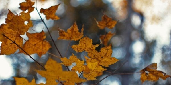 В выходные дни погода в Приморье вновь ухудшится