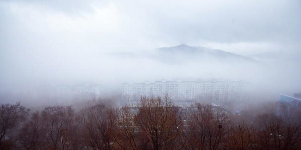 В начале недели в Приморье сохранятся небольшие и умеренные осадки