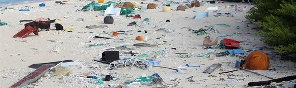 Экологи обнаружили самый грязный остров на планете