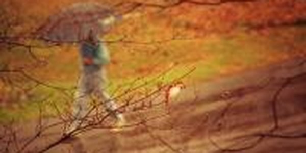 В Приморье сохраняется теплая погода