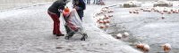 Неожиданный снегопад сорвал торжества в США