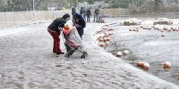 Неожиданный снегопад сорвал торжества в США