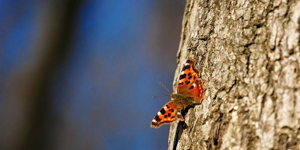 В воскресенье во Владивостоке был установлен температурный рекорд