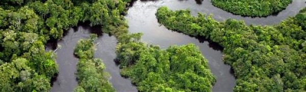 9–10 июля на реках Приморья ожидается подъём уровней воды