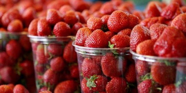 На центральной площади Владивостока развернулась продовольственная ярмарка