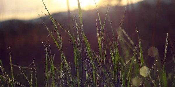 В Приморье сохраняется неустойчивая и по-летнему теплая погода