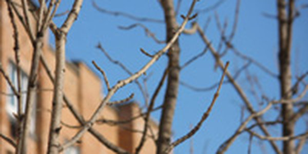 В пятницу в Приморье снова похолодает  