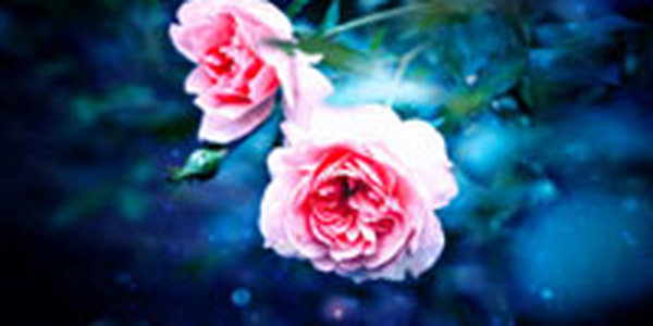 Поднимаем настроение: Цветочный восторг