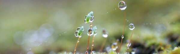 Дожди с грозами прошли на большей территории Приморья во вторник