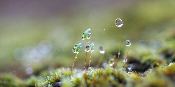 Дожди с грозами прошли на большей территории Приморья во вторник