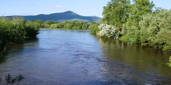 Сихотэ-Алинский заповедник примет круизные суда впервые с 2013 года