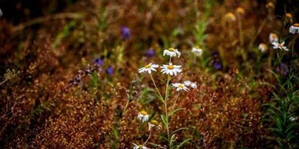 Температурный фон в Приморье вернулся в климатические рамки