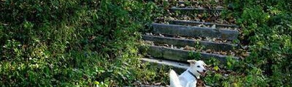 Опубликован прогноз погоды на последние выходные июня в Приморье