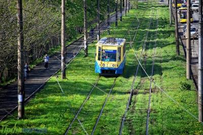 Завтра во Владивостоке на линию выйдет «художественный» трамвай