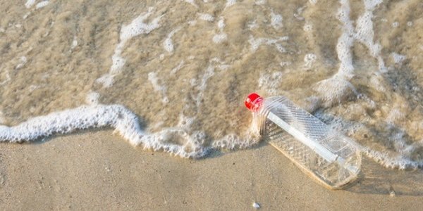 Безвредность биоразлагаемого пластика поставлена под сомнение