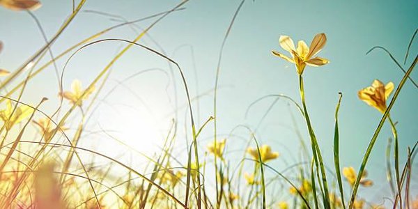 Июль 2017 года стал самым тёплым последние 137 лет