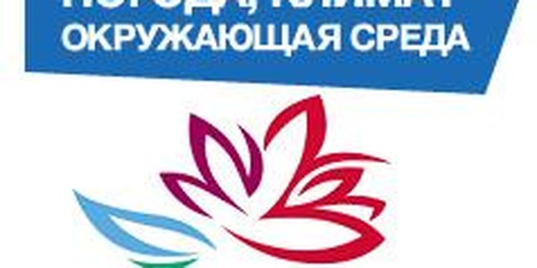 Погодный сайт для Восточного экономического форума начал работу