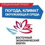 Погодный сайт для Восточного экономического форума начал работу