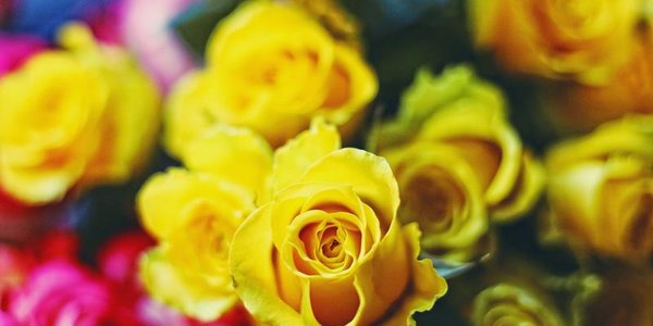 Предпраздничный день в Приморье будет солнечным и тёплым