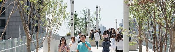 В Сеуле превратили старую магистраль в огромный городской парк