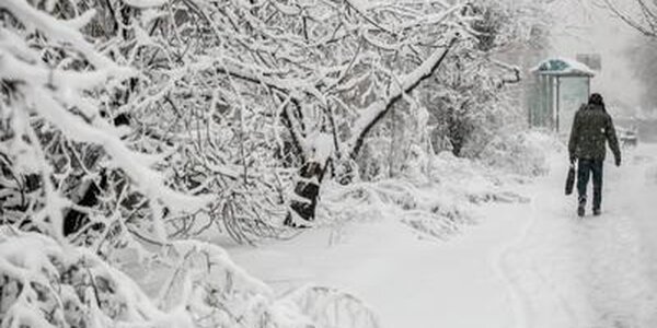 Мощный циклон принесет в Приморье осадки, местами сильные, на выходных