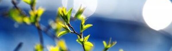 Погода дарит жителям Приморья весеннюю погоду 