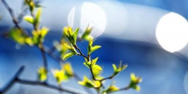 Погода дарит жителям Приморья весеннюю погоду 