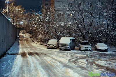 От снега до дождя: всё о погоде в Приморье в начале следующей недели