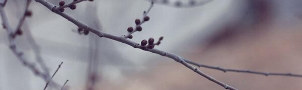 На этой неделе погода в Приморье будет переменчивой