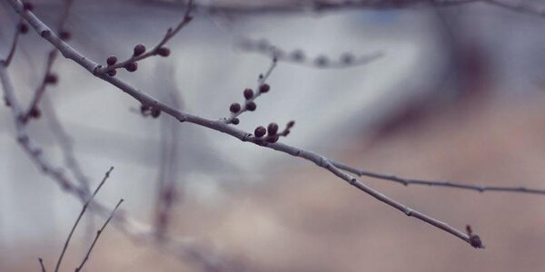 На этой неделе погода в Приморье будет переменчивой