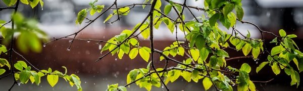 Грозовые дожди разбавили краски летней погоды Приморья