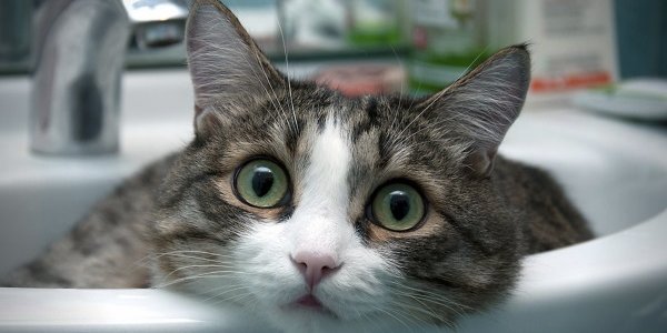 Горячая вода в домах жителей Владивостока появится позже, чем ожидалось