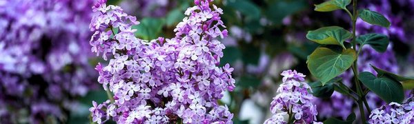 На следующей неделе погода в Приморье вновь будет неустойчивой