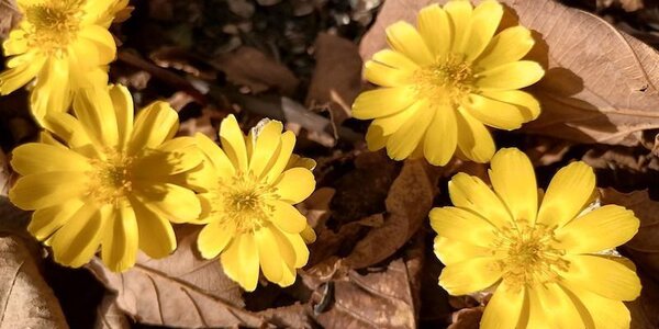 Март прощается с Приморье высокими температурами воздуха