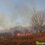 Внимание! 1 – 3 апреля в Приморье высокая опасность лесных пожаров