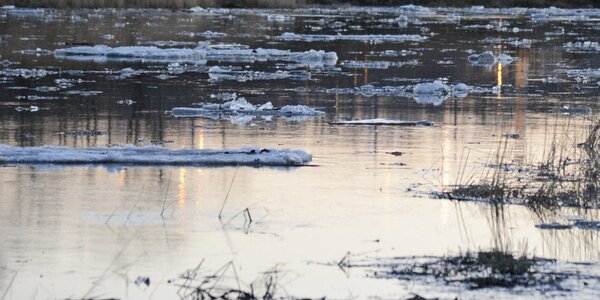 Реки Приморья очищаются ото льда